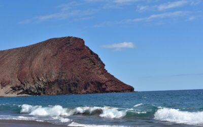Puertos de Tenerife lidera la restauración de la Reserva Natural Especial de Montaña Roja para conservar su biodiversidad