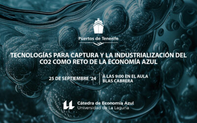 Tecnologías para capturay la industrialización delCO2 como reto de laEconomía Azul